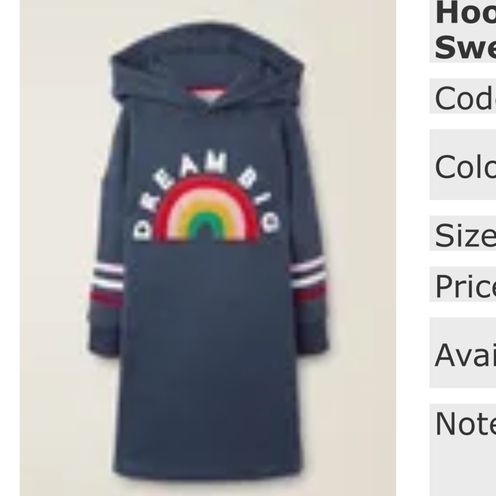 Mini Boden sweatshirt tunic hooded with pockets textured 3D graphic